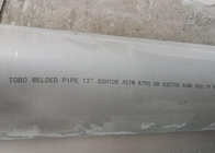UNS 32750 Sch10s ASTM A790 Duplex Stainless Steel Pipe