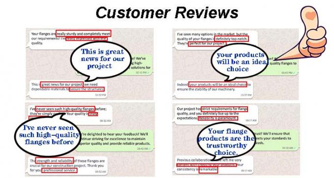 工場直販 便利な組み立てと解体 交換可能 管のフィッティング フレンズ B16.5 チタン フレンズ 9