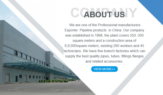 メタルの高品質 304ステンレス鋼パイプフィッティング 固い四角頭プラグ 1/2/3/4/6ポイント NPT1/2 7