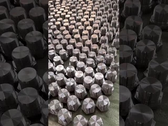 ステンレス鋼のプラグ