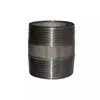 Factory Wholesale Both Equal Threaded Hot Dipped Galvanized Fittings Swage Nipple