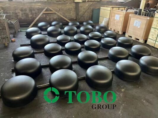 Customizable 304/316L Stainless Steel Pipe Cap Threaded/Welded for Petroleum Chemical