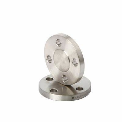ANSI ASME B16.5 B16.47 304 316 RF FF Stainless Steel Blind Forged Pipe Fittings Flange