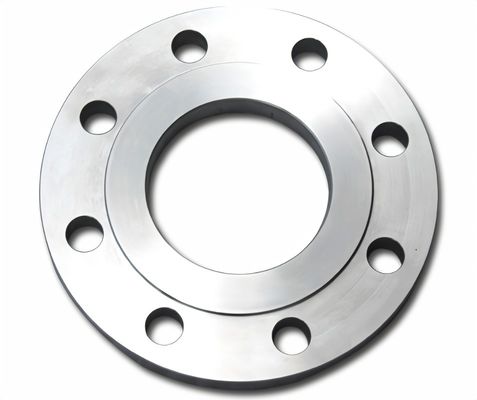 Stainless Steel Flange Forged Fittings Plate Flange Class 150-3000 A182 Grade F 316L