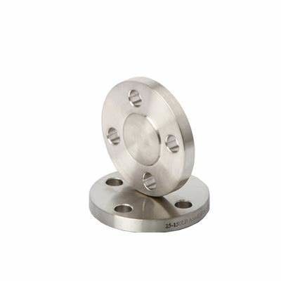 Stainless Steel Flange A182 Grade F 304  Blind Forged Flanges Pipe Fittings CL3000
