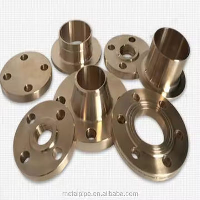 ASME/ANSI B16.5/16.36/16.47A/16.47B MSS S44 ISO70051 JISB2220 BS1560-3.1 API7S-15 API7S-43 API605 EN1092 Forged Steel Flanges