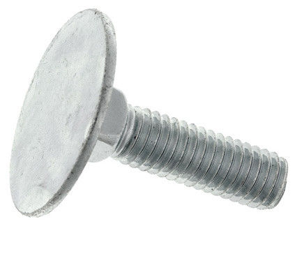 Flat Head Bolt And Nut SS304 Bolt Belt Screw Fastener DIN15237 Leite Stainless Steel