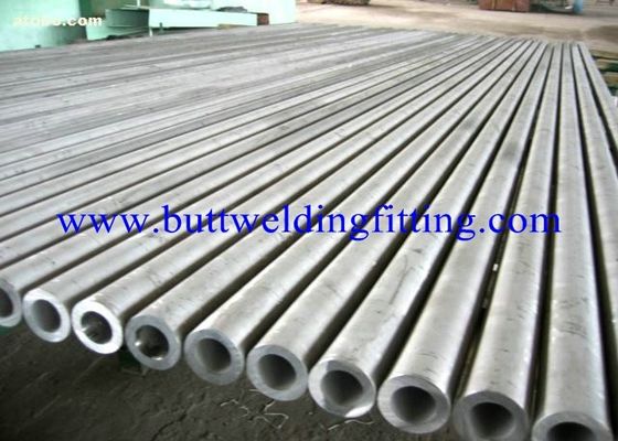 SS Seamless Welded Small Diameter Stainless Steel Tubing TP304L S30403 TP304H S30409